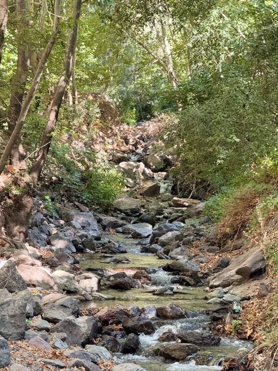 طبيعة جبلية في كردستان